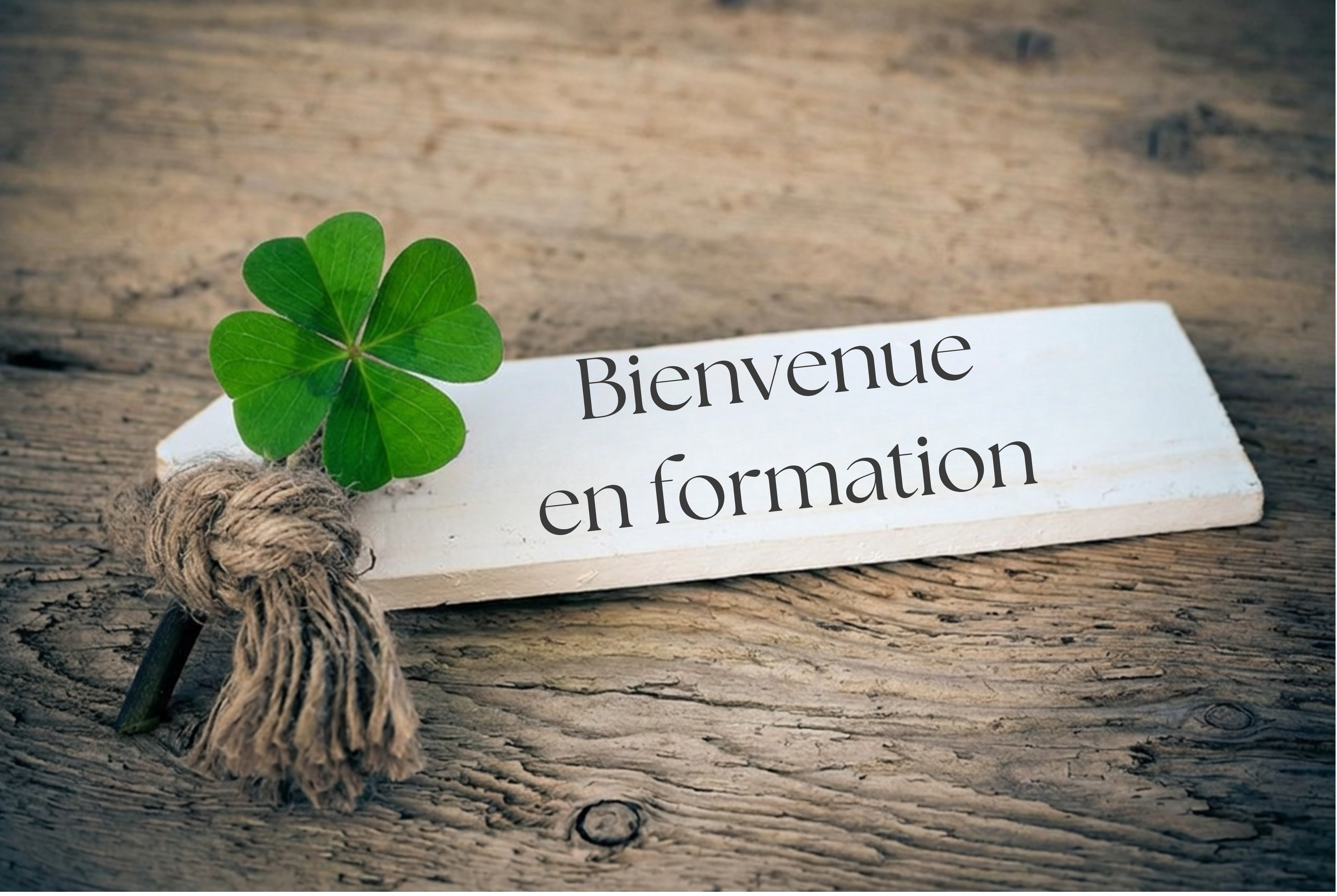 bienvenue